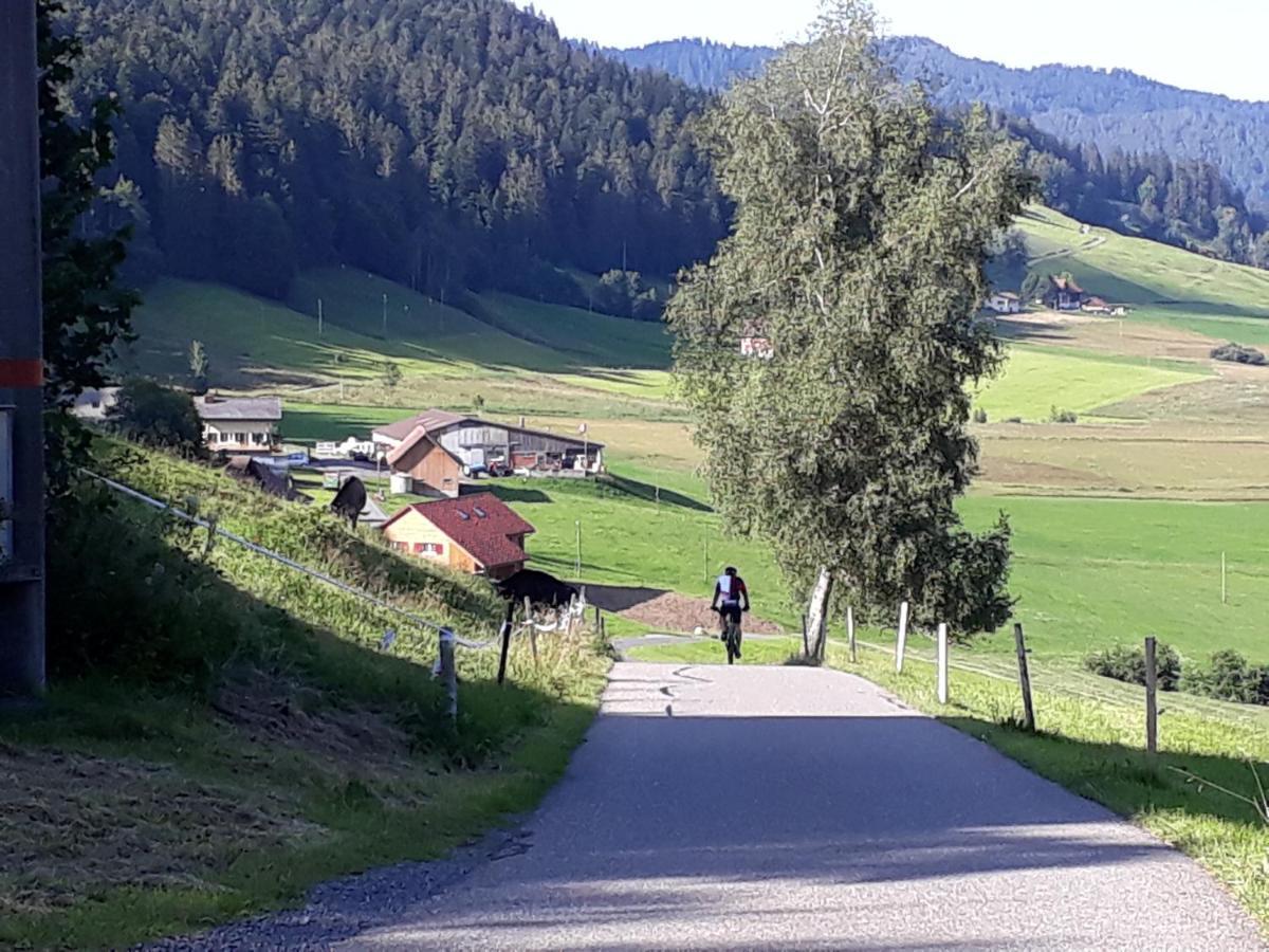 Gaestezimmer Im Dorfzentrum Hotel Rothenthurm Екстериор снимка